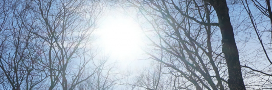 Cover image for post The Collector, by Ken_W_Writer