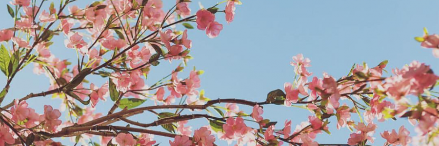 Cover image for post Untitled, by Krystal_Stones