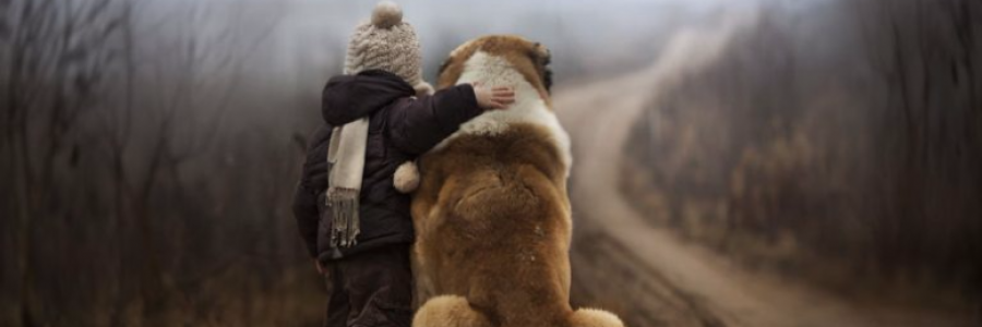 Cover image for post A boy and his dog, by Pretty_Lies