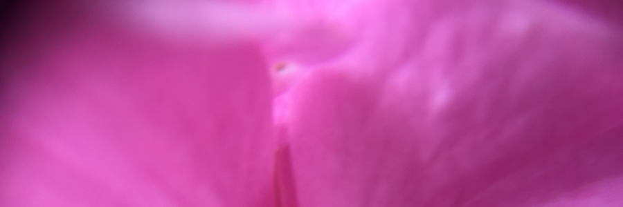 Cover image for post Giving, by OxQueen