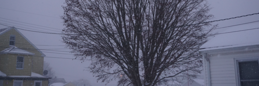 Cover image for post The Power of Nature, by Ken_W_Writer