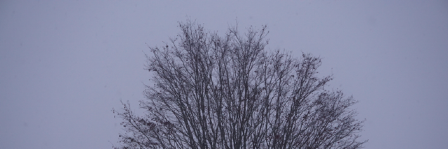 Cover image for post The North Wind: A Haiku, by Ken_W_Writer