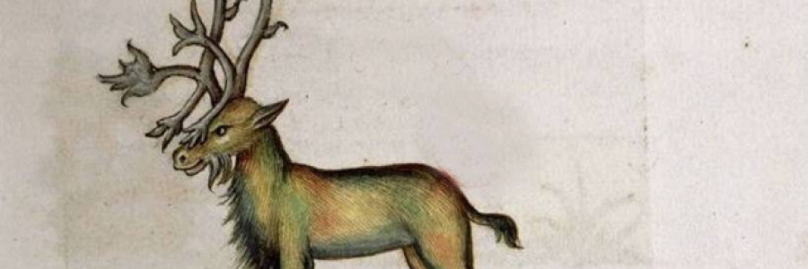 Cover image for post Untitled, by Just_bear_bones