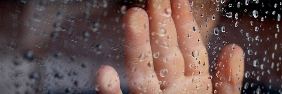 Cover image for post Still Here, by Adamotaur