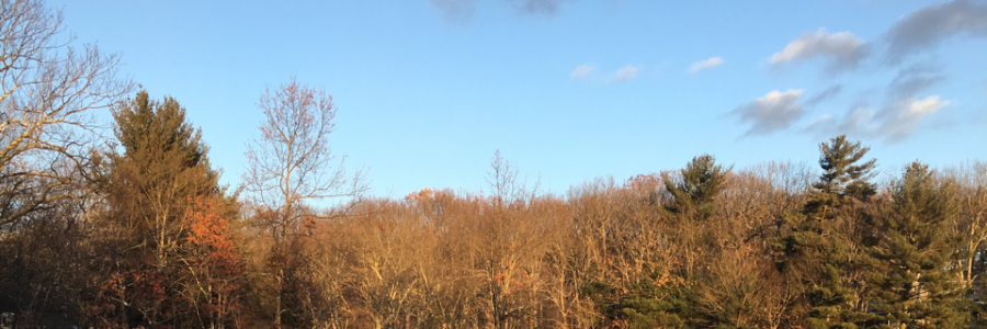 Cover image for post True Friends, by Jon44