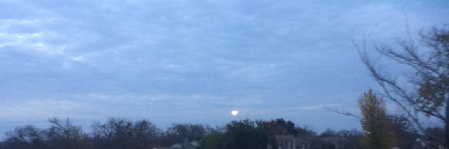 Cover image for post family reunion., by PoppyLaine