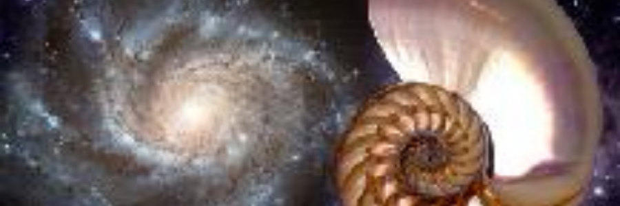 Cover image for post The Will of All, by ravensayhan