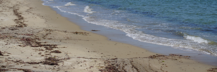 Cover image for post Band of Gold, by Ken_W_Writer