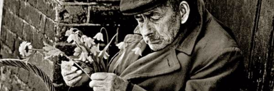 Cover image for post In The Laughter, by wood