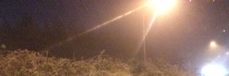 Cover image for post If Only, if only..., by lillith665