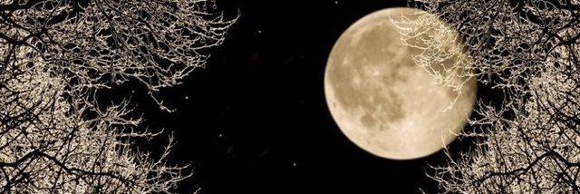 Cover image for post New life, by PoeticJustice87