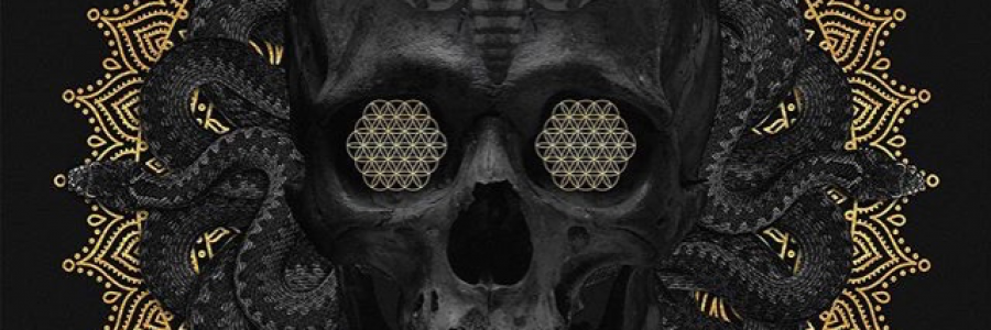 Cover image for post Untitled, by Just_bear_bones