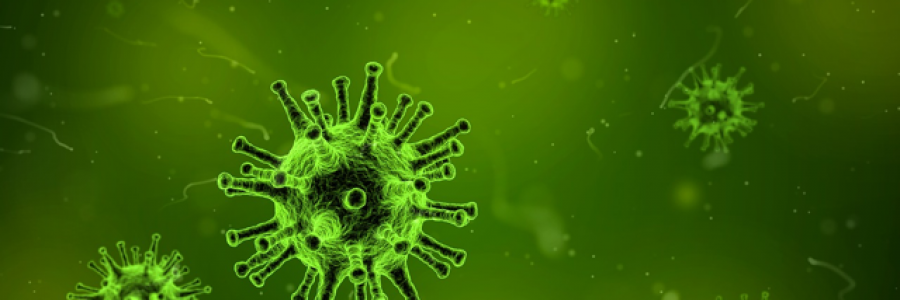 Cover image for post Search the Universe, by Glace