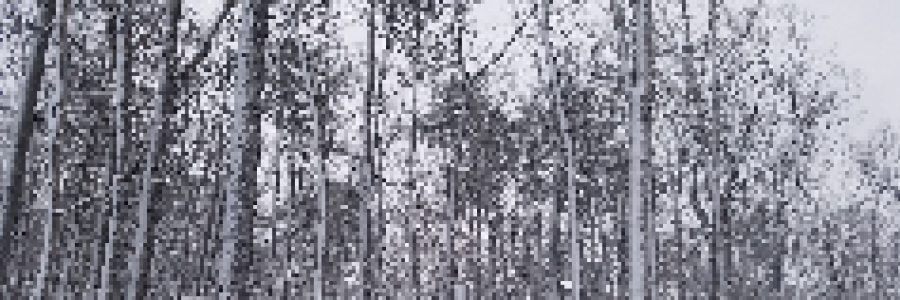 Cover image for post A Winter's Kiss, by poetsdream