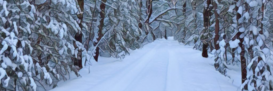 Cover image for post Paths, by Taliesin