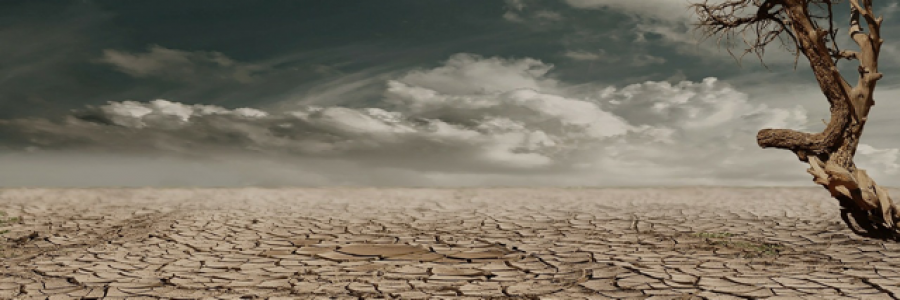 Cover image for post So, the earth is flat?, by Glace