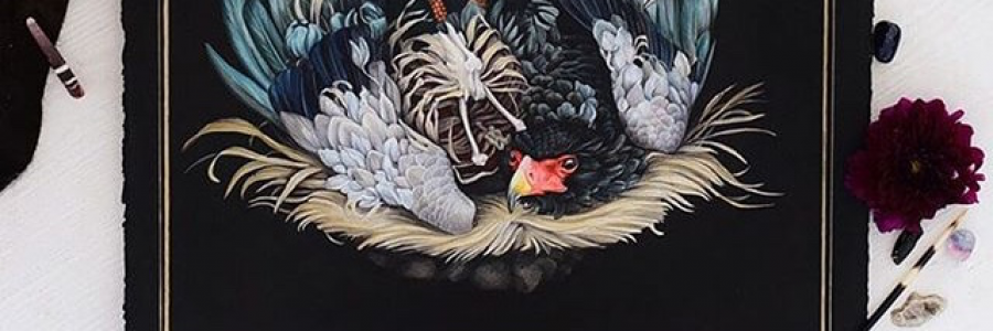 Cover image for post Untitled, by Just_bear_bones