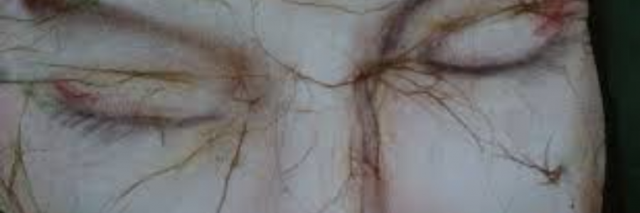 Cover image for post Closed Eye Thoughts, by sandflea68