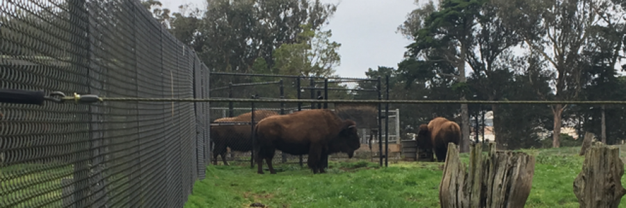 Cover image for post It’s not real, by Etch