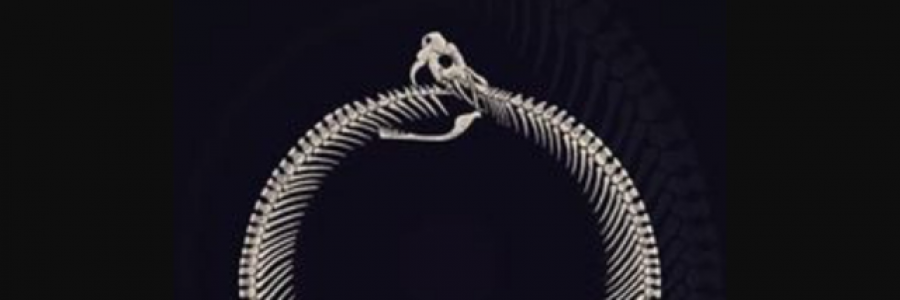 Cover image for post I, by Just_bear_bones