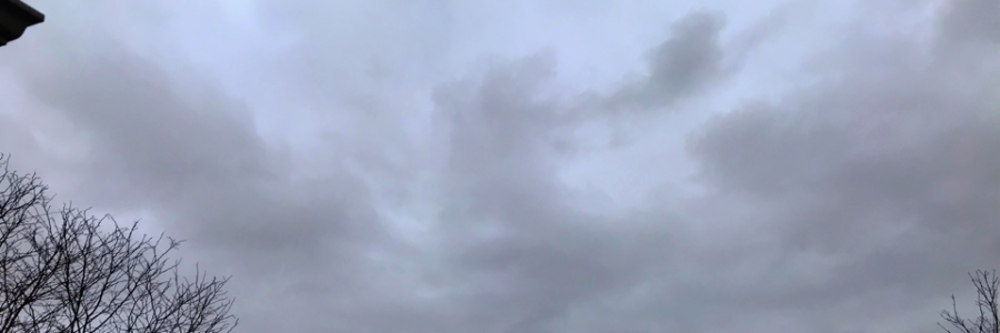 Cover image for post Surveyor, by RayOfLight58