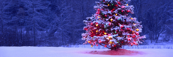 Cover image for post Pantoum For The Christmas, by pgjmiranda