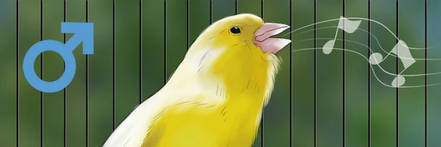 Cover image for post January Bleak, by wood