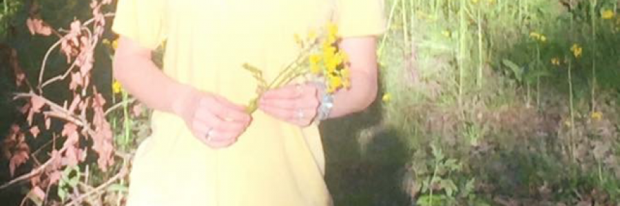 Cover image for post Back track, by Tereza