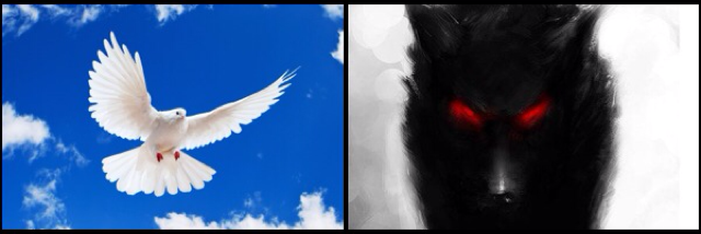 Cover image for post The Fog, by ABoswell