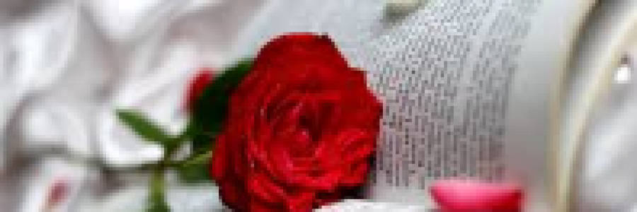 Cover image for post One More Day, by EmilyDH