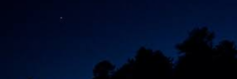 Cover image for post reflections of starlight, by wordSwork