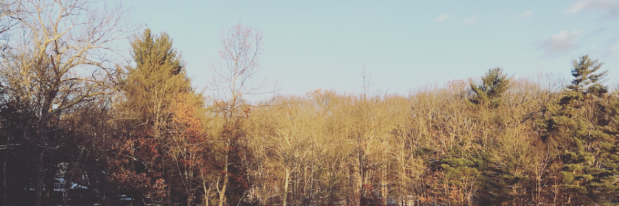 Cover image for post Just Maybe, by Jon44