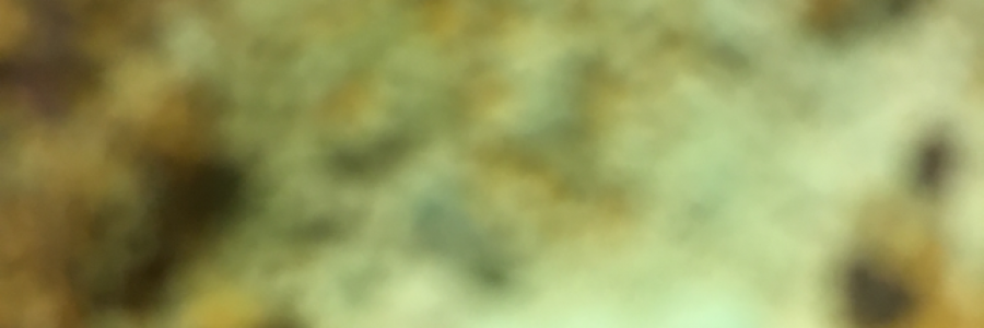 Cover image for post 02-04-18, by Astropoppin