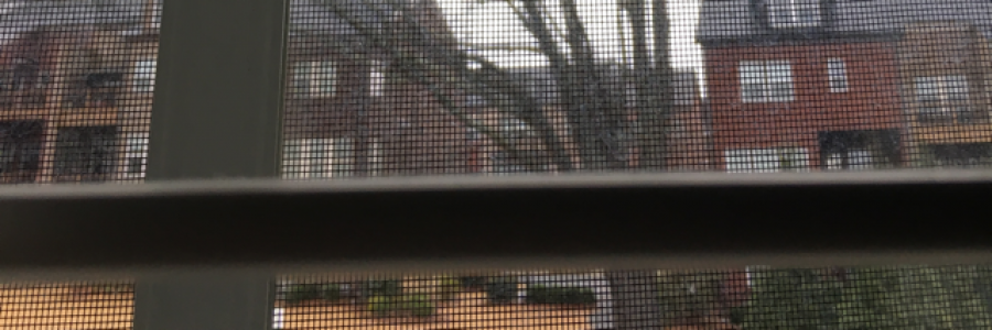 Cover image for post Untitled, by Astropoppin