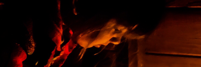 Cover image for post Poverty, by Yowwa