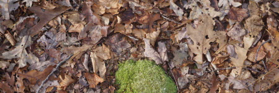 Cover image for post Metrophobia, by Ken_W_Writer