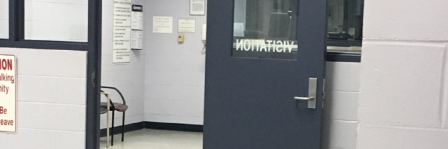 Cover image for post Dear Jailbird, by Astropoppin