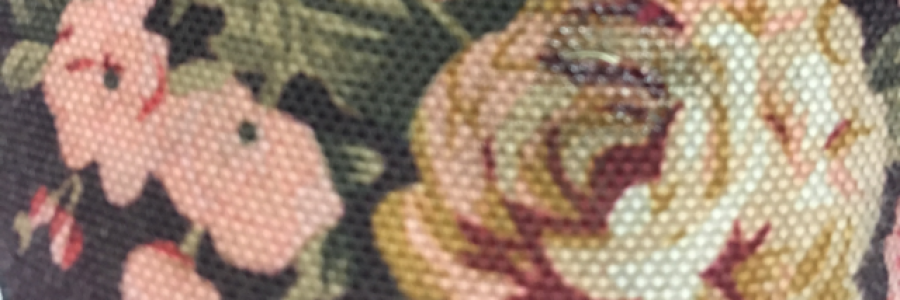 Cover image for post Untitled, by Astropoppin