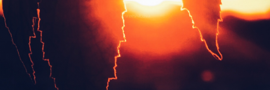 Cover image for post Fire, by petrichorclouds