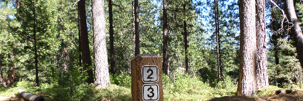 Cover image for post April is Upon Us, by NixyCane