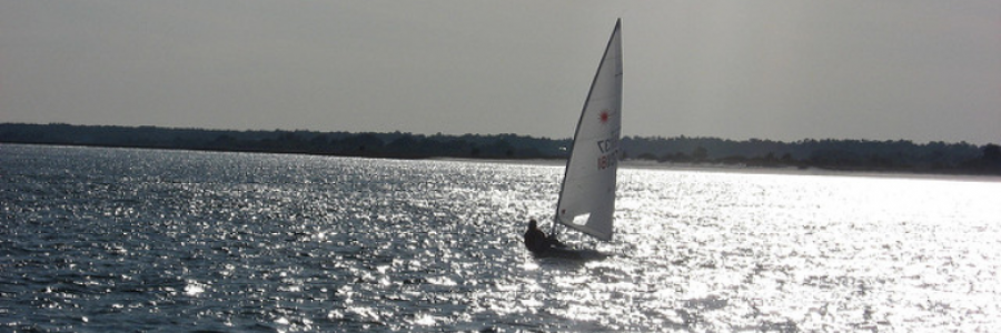 Cover image for post January 22, 1979, by Danceinsilence