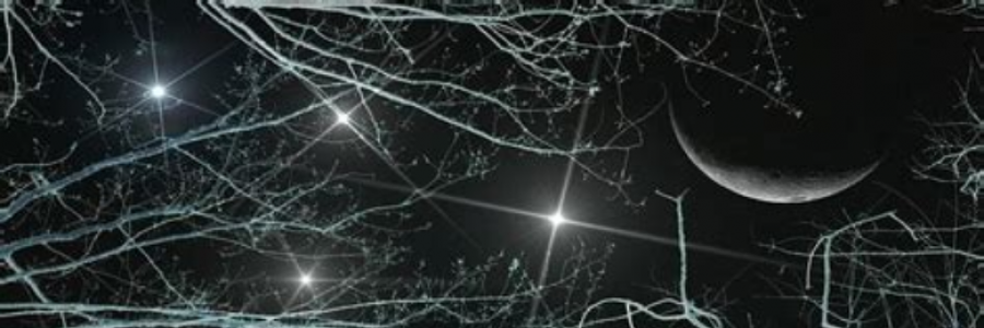 Cover image for post Religion works in mysterious ways, by BonnieBoo