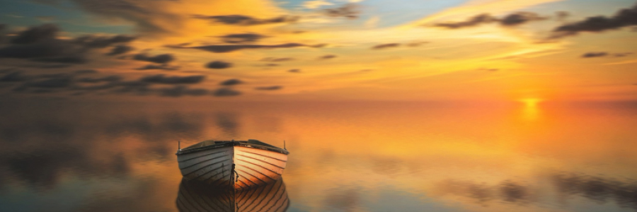 Cover image for post Life is Like...., by Clarity