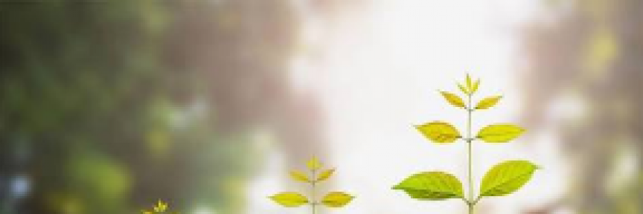 Cover image for post The plans, by SaneWriter