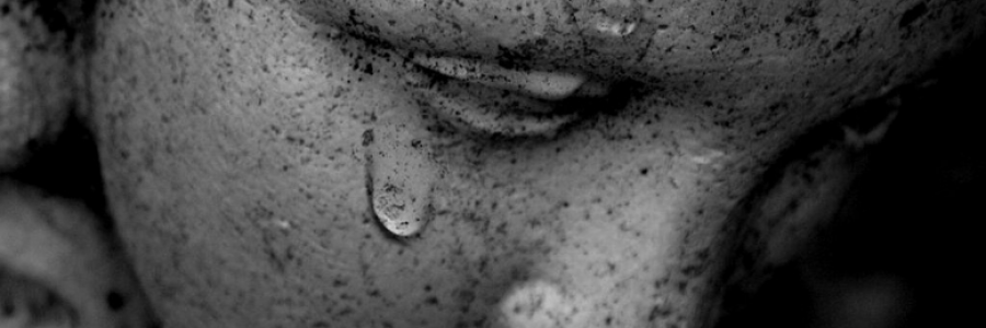 Cover image for post Life is Like, by wood