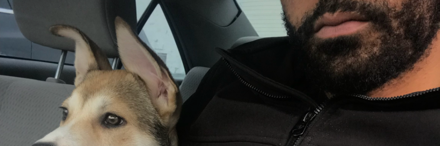 Cover image for post Silent, by Rafael_thebrain