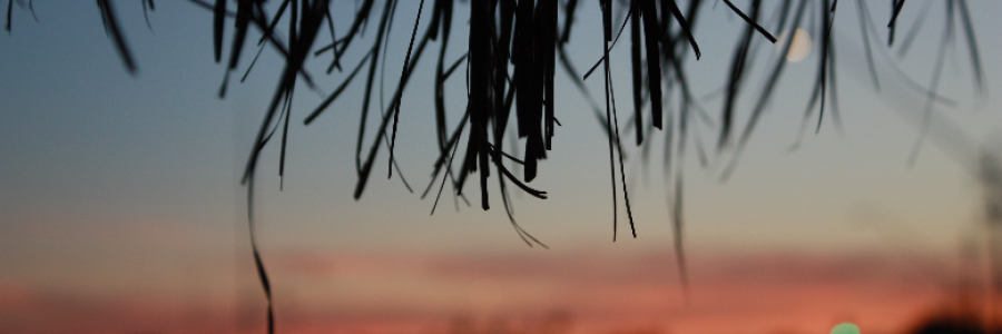 Cover image for post orange on her face, by paulinjeti