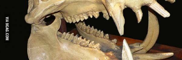 Cover image for post A Few Coins, by Schrieben_Wulf