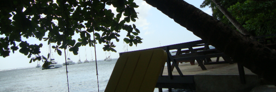 Cover image for post Why do I write?, by TheCaptainsWife