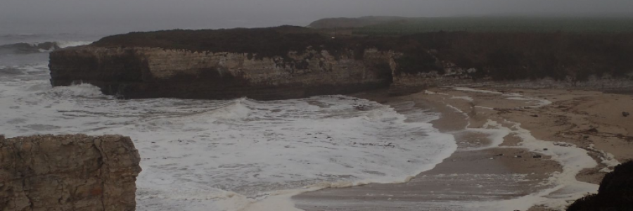 Cover image for post will love last?, by flxra